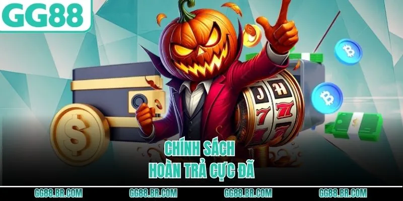 Chính sách hoàn trả cực đã